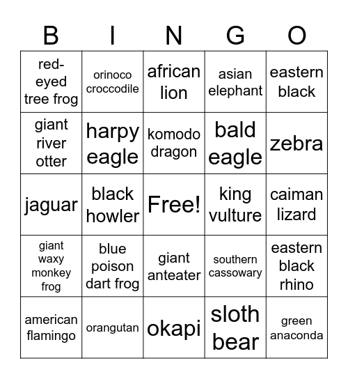 zoo miami bingo Card
