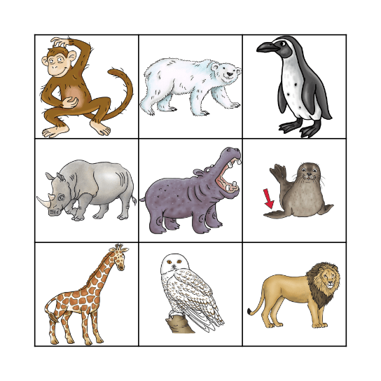 Zoo Bingo Card