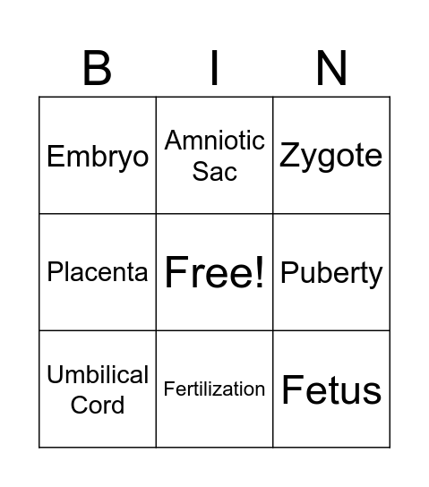 Pregnancy & Development Bingo Card
