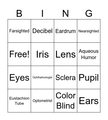 Eyes and Ears Lesson Bingo Card
