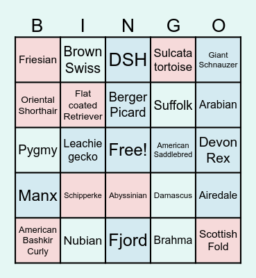 Hill's Bingo Night - Animals/Breeds Bingo Card