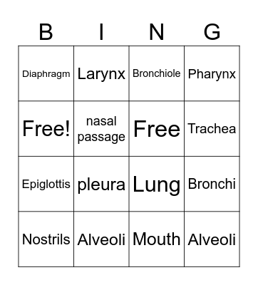 Respiratory System Bingo Card