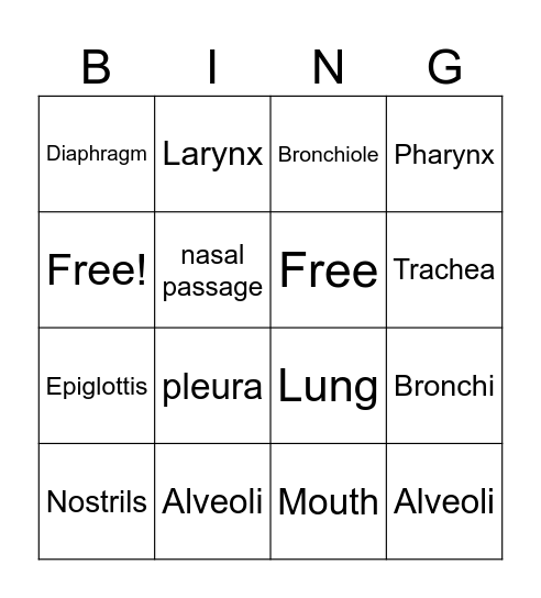 Respiratory System Bingo Card