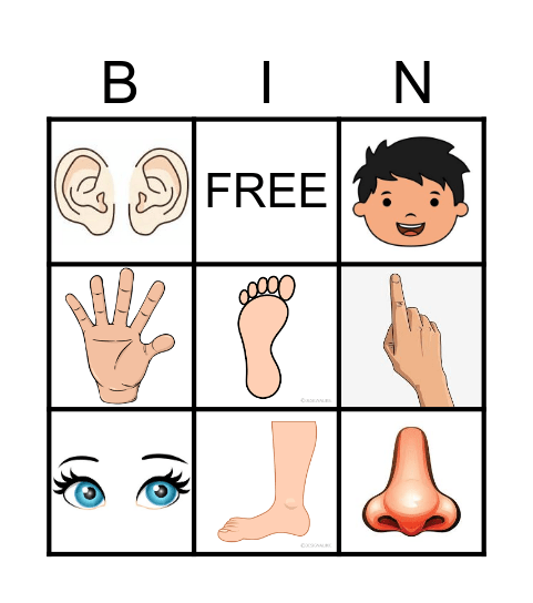 Body parts Bingo Card