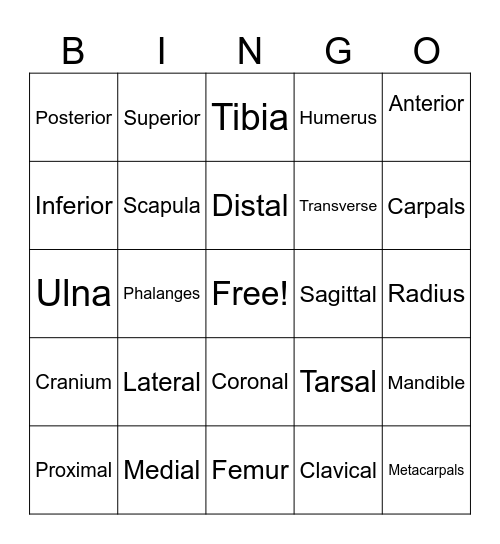 Anatomical Planes, Directions, Bones Bingo Card
