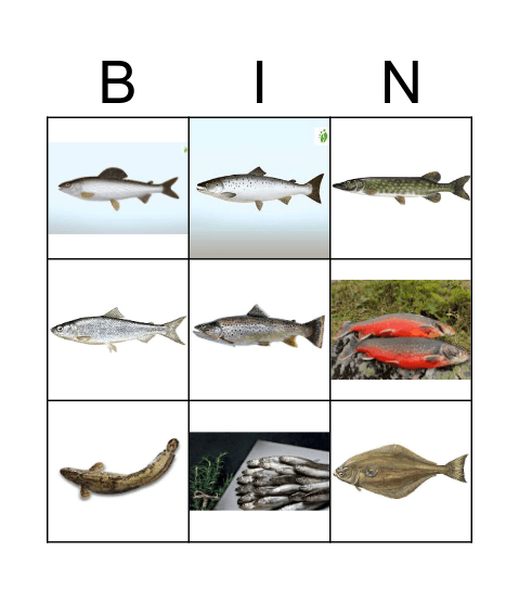 KYELI BINŊŊO Bingo Card