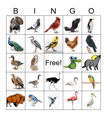 Bird Bingo Card