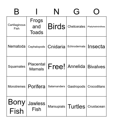 Animal Phylum Bingo Card