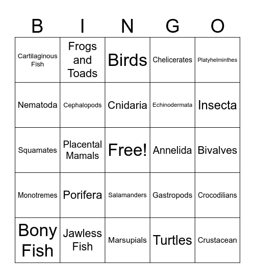 Animal Phylum Bingo Card