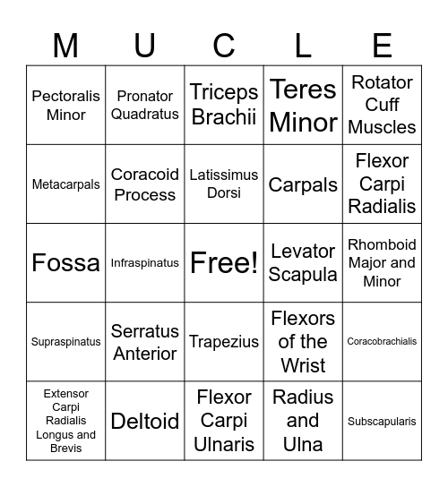 Shoulder, Arm, Forearm, and Hand Bingo Card