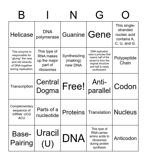 DNA, RNA, & Protein Synthesis Bingo Card