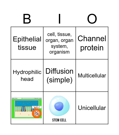 Term 1 - Game 1 Bingo Card