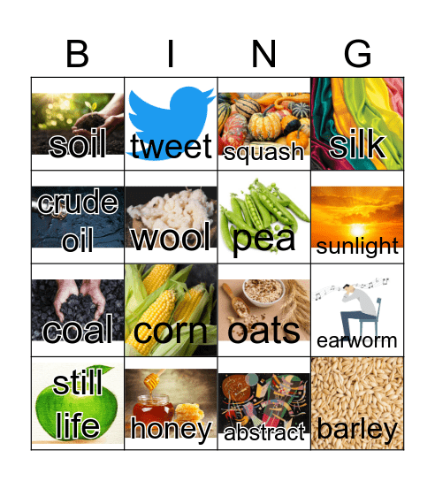 vocabulary review Bingo Card