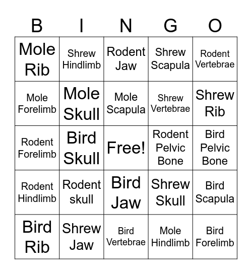 Owl Pellet Bingo Card