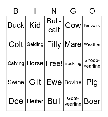Livestock Terms Bingo Card