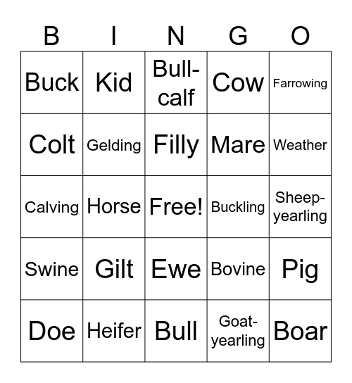 Livestock Terms Bingo Card
