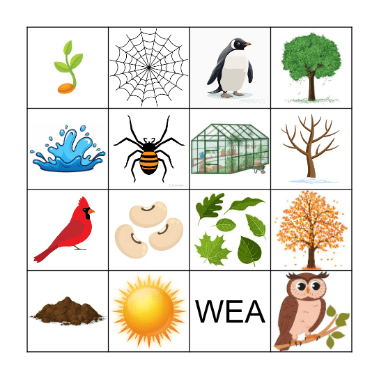 Nature Bingo Card