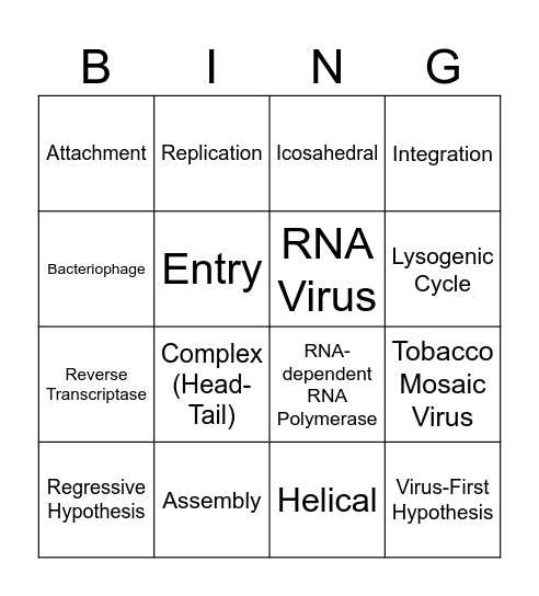 Session 10 Bingo Card