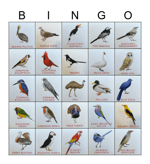 Bird Bingo! Bingo Card