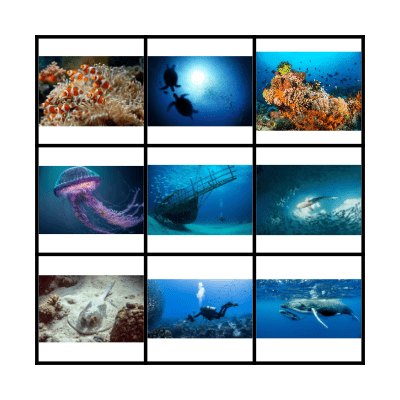 Clothes, clothes, clothes! Bingo Card