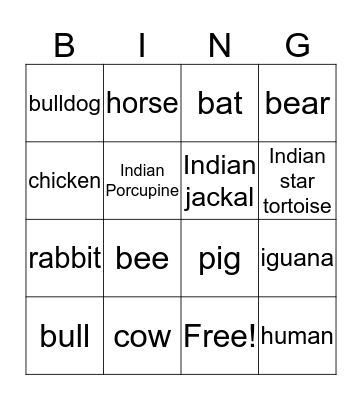 animal Bingo Card