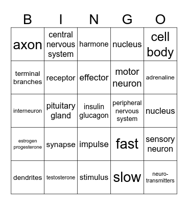 Nervous/ Endocrine BINGO Review Bingo Card