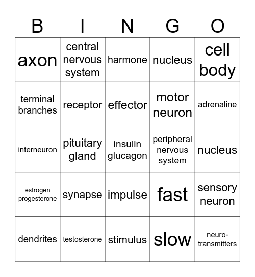 Nervous/ Endocrine BINGO Review Bingo Card