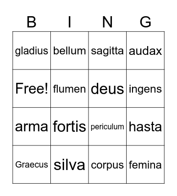 de Romanis chapter 2 nouns and adjectives Bingo Card