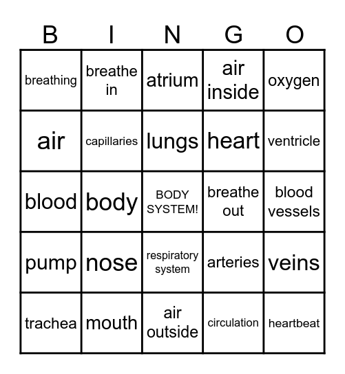 BODY SYSTEMS Bingo Card