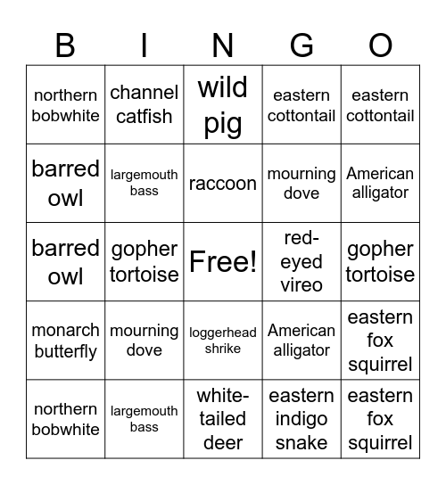 Wildlife judging species Bingo Card