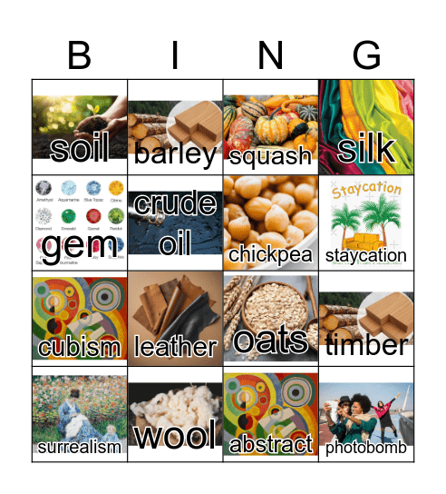 vocabulary review Bingo Card