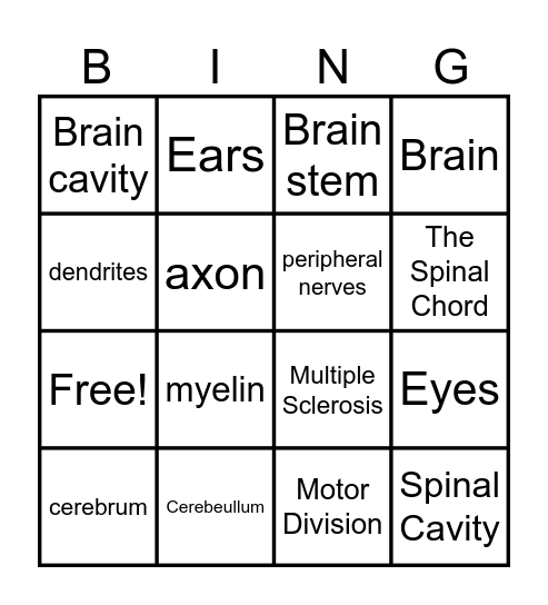 The Nervous System Bingo Card