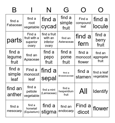 Plant Identification Bingo Card