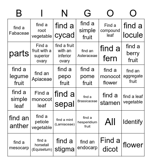 Plant Identification Bingo Card
