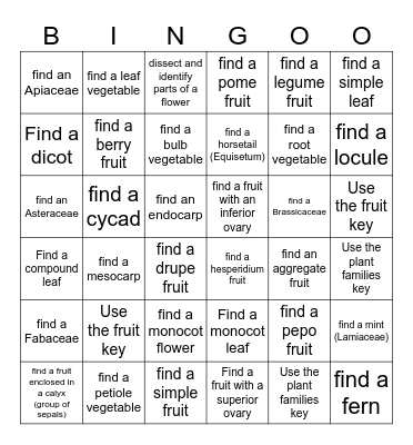 Plant Identification Bingo Card
