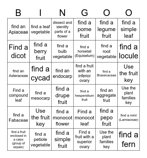 Plant Identification Bingo Card