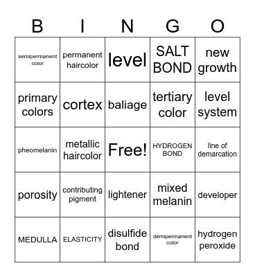 Haircolor Theory Bingo Card
