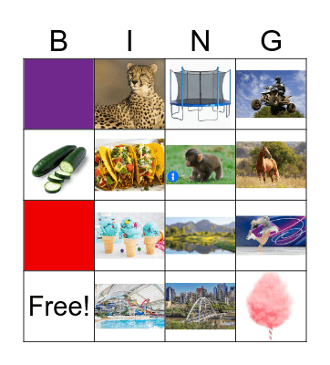 Isla's Favourite Things Bingo Card