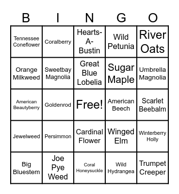 Plant Science Club Bingo Card