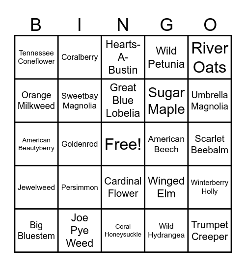 Plant Science Club Bingo Card