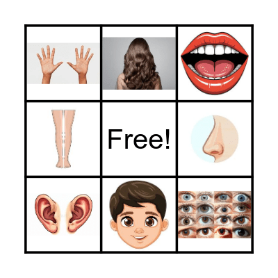 Body parts Bingo Card