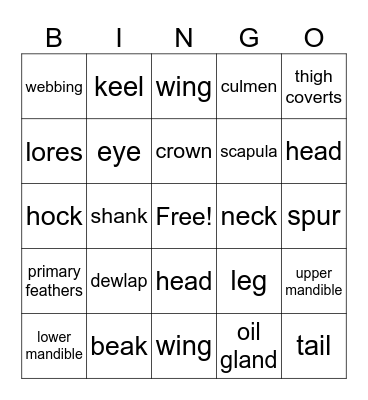 Goose Anatomy Bingo Card