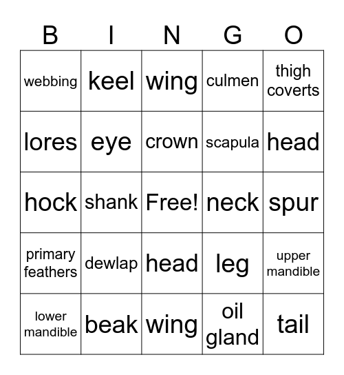 Goose Anatomy Bingo Card