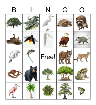 Florida Nature BINGO Card