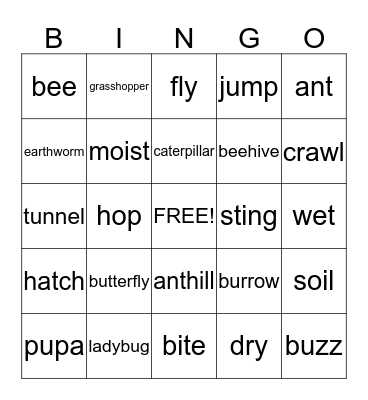 bug bingo Card