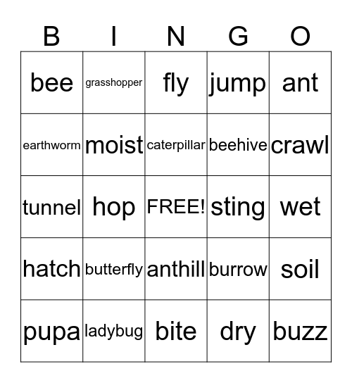 bug bingo Card