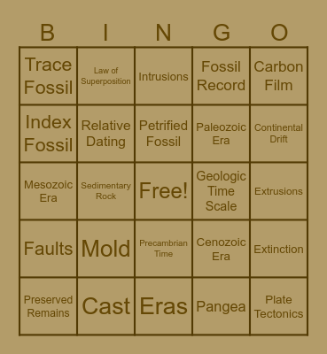 Evolution of Landforms Bingo Card