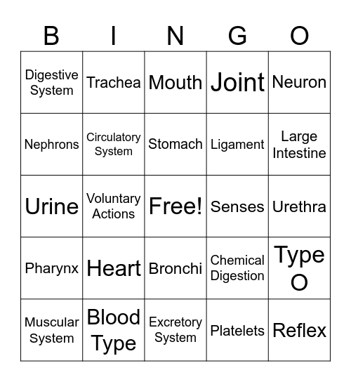 Body Systems Bingo! Bingo Card