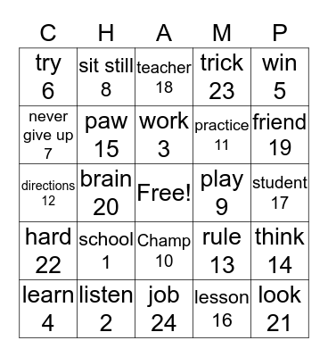 A School of Champions Bingo Card