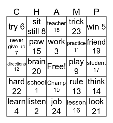 A School of Champions Bingo Card